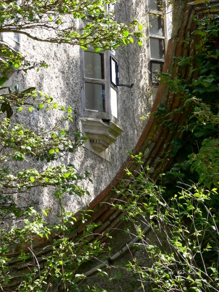 Bois des Moutiers (43) avril 2012